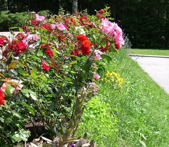 Gasthuis Holzmann Leutasch